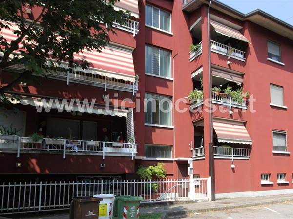 3 locali con cantina e box 